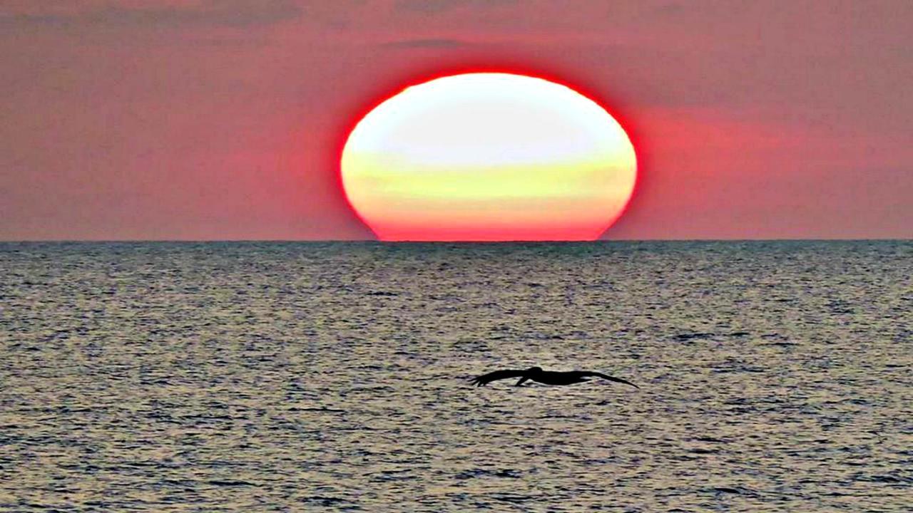 16Th Floor 1 Bedroom Resort Condo Direct Oceanfront Wyndham Ocean Walk Resort Daytona Beach 1605 Exteriör bild
